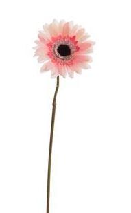 VARA DE GERMINI (36CM)/ ROSA REF: 40170002/PI PRECIO: 1,05€ VARA DE GERMINI (36CM)/ ROSA REF: 40170002/PI PRECIO: 1,05€