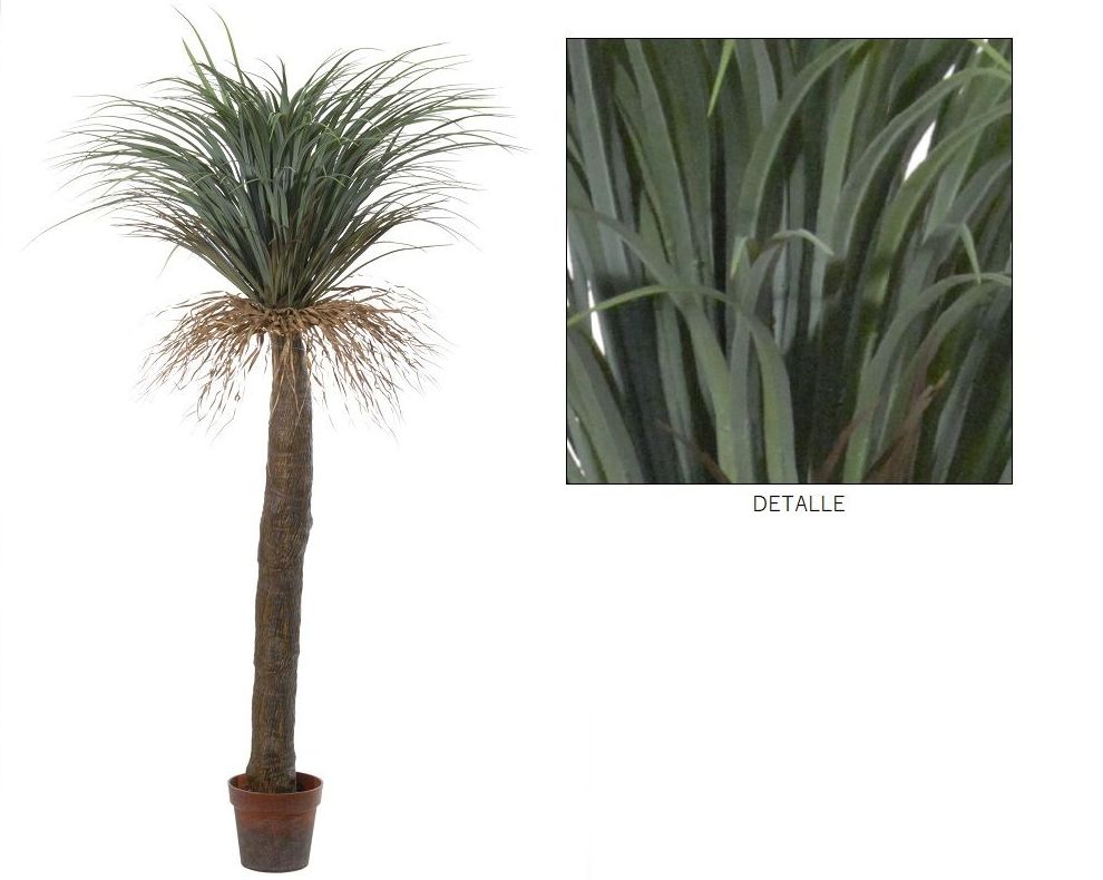 PLANTA DE YUCCA C/MACETA (185CM)/ VERDE REF: 40149.185 PRECIO: 190,00€ PLANTA DE YUCCA C/MACETA (185CM)/ VERDE REF: 40149.185 PRECIO: 190,00€