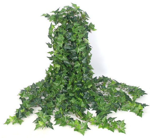 MATA COLGANTE HIEDRA GIGANTE TELA. COLOR:VERDE REF.:PS891285 GR-01 PRECIO:25,95 € MATA COLGANTE HIEDRA GIGANTE TELA. COLOR:VERDE REF.:PS891285 GR-01 PRECIO:25,95 €