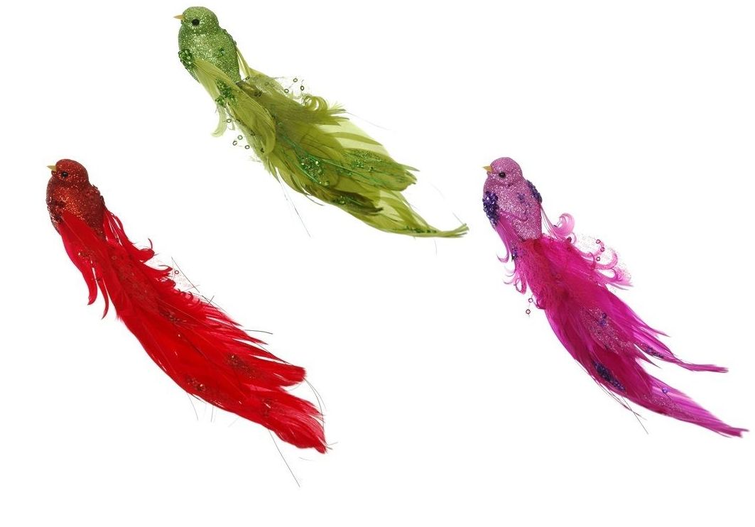 PQTEx12 PAJAROS DE COLA LARGA C/CLIP (20CM)/SURTIDO ROJO-VERDE-ROSA GLITT REF: 97821/SURT PRECIO: 9,60€ (0.80€/UD) PQTEx12 PAJAROS DE COLA LARGA C/CLIP (20CM)/SURTIDO ROJO-VERDE-ROSA GLITT REF: 97821/SURT PRECIO: 9,60€ (0.80€/UD)