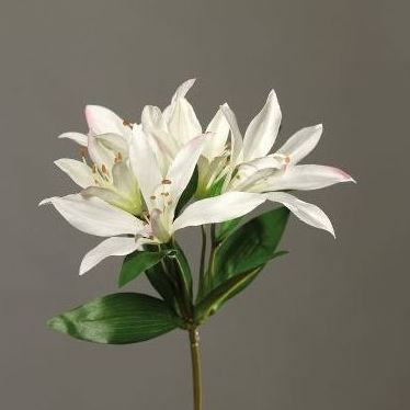 VARA LILIUM (BLANCO) REF: 43456-05 PRECIO: 3,00€ VARA LILIUM (BLANCO) REF: 43456-05 PRECIO: 3,00€