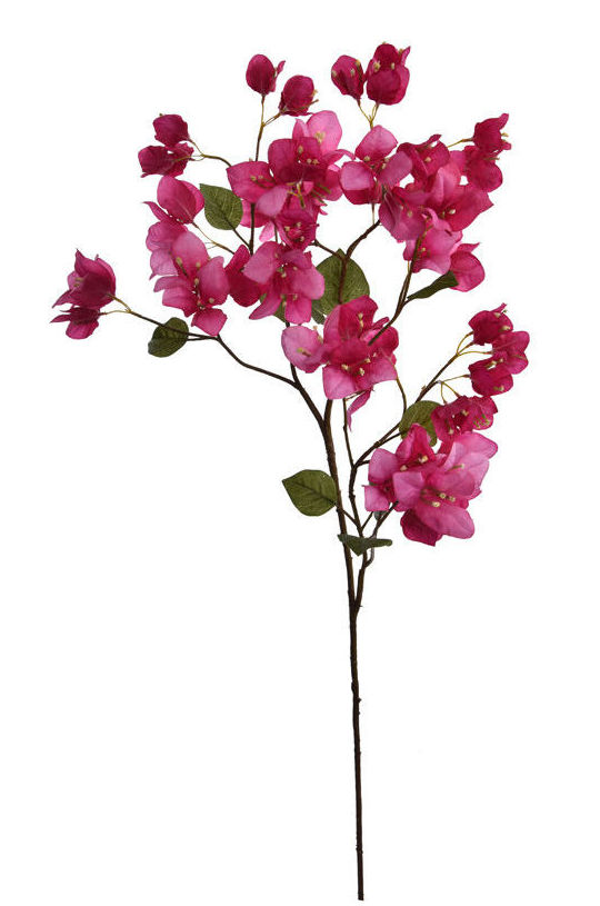 VARA BOUGANVILLIA (91CM)/ BEAUTY REF: 40020272/BE PRECIO: 7,85€ VARA BOUGANVILLIA (91CM)/ BEAUTY REF: 40020272/BE PRECIO: 7,85€