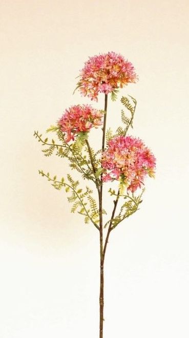 VARA POMPON X3. COLOR:FUXIA REF.:6157 FUX PRECIO:1,80 € VARA POMPON X3. COLOR:FUXIA REF.:6157 FUX PRECIO:1,80 €