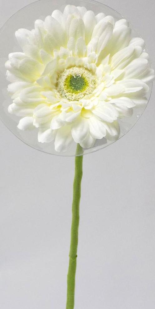 VARA GERBERA. COLOR:BLANCO REF.:30025 PRECIO:1,75 € VARA GERBERA. COLOR:BLANCO REF.:30025 PRECIO:1,75 €