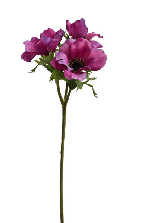 VARA ANEMONA x3 (45CM)/LAVANDA REF: 40020320/LAV PRECIO: 2,60€ VARA ANEMONA x3 (45CM)/LAVANDA REF: 40020320/LAV PRECIO: 2,60€