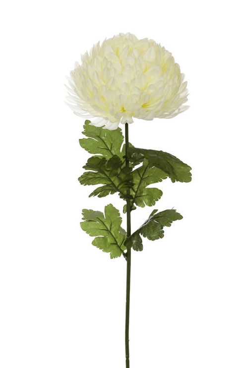 VARA MEDIANA DE MUM (82CM)/ CREMA REF: 30010003/CR PRECIO: 2,55€ VARA MEDIANA DE MUM (82CM)/ CREMA REF: 30010003/CR PRECIO: 2,55€