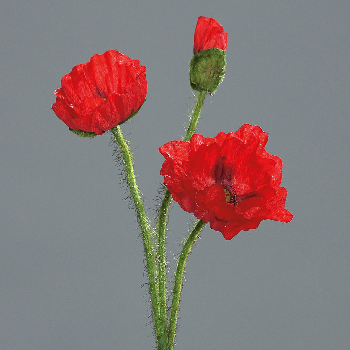 PQTEx12 VARAS DE AMAPOLA (48CM)/ ROJO REF: 45121-02 PRECIO: 13,80€/PQTE (1,15€/UD) PQTEx12 VARAS DE AMAPOLA (48CM)/ ROJO REF: 45121-02 PRECIO: 13,80€/PQTE (1,15€/UD)