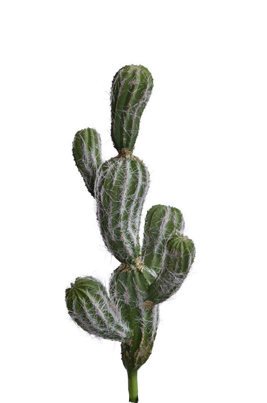 PICK CACTUS X5 H28CM (VERDE) REF:60110010/GR PRECIO:8,95 € PICK CACTUS X5 H28CM (VERDE) REF:60110010/GR PRECIO:8,95 €