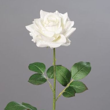 VARA ROSA ABIERTA TACTO NATURAL (70CM.) COLOR:BLANCO REF.:43386-05 PRECIO: 2,75 € VARA ROSA ABIERTA TACTO NATURAL (70CM.) COLOR:BLANCO REF.:43386-05 PRECIO: 2,75 €