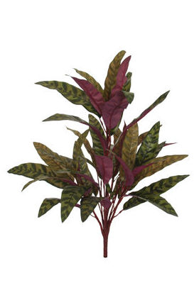 PLANTA CALATEA X7 MEDIANA (60CM) COLOR: VERDE+BURDEOS REF.:61309/PEA PRECIO:5,50 € PLANTA CALATEA X7 MEDIANA (60CM) COLOR: VERDE+BURDEOS REF.:61309/PEA PRECIO:5,50 €