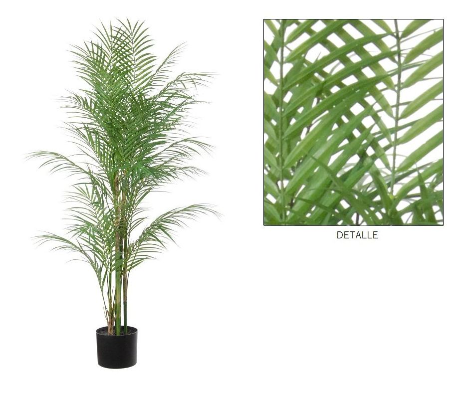 PALMERA ARECA C/MACETA (90CM)/ VERDE REF: 17050.090 PRECIO: 77,30€ PALMERA ARECA C/MACETA (90CM)/ VERDE REF: 17050.090 PRECIO: 77,30€