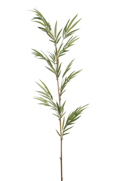 TRONCO BAMBU (180CM) COLOR:VERDE REF.:12010111/GR PRECIO: 9,50 € TRONCO BAMBU (180CM) COLOR:VERDE REF.:12010111/GR PRECIO: 9,50 €