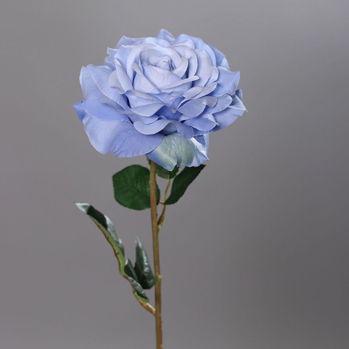 VARA DE ROSA ABIERTA (56CM)/ AZUL REF: 43371-20 PRECIO: 3,25€ VARA DE ROSA ABIERTA (56CM)/ AZUL REF: 43371-20 PRECIO: 3,25€
