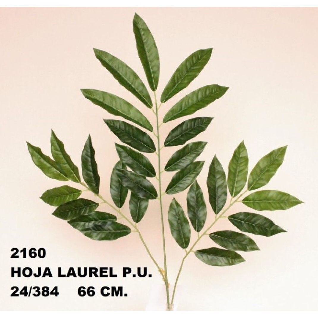 PQTE. 12 UNID. VARA HOJAS LAUREL (66 CM) COLOR:VERDE REF.:2160 VER PRECIO: 0,95 € C/U PQTE. 12 UNID. VARA HOJAS LAUREL (66 CM) COLOR:VERDE REF.:2160 VER PRECIO: 0,95 € C/U