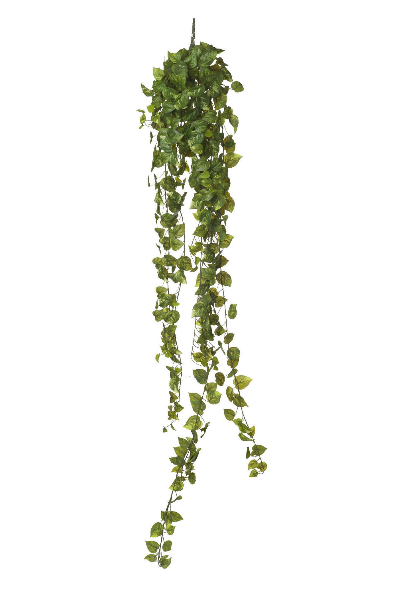 COLGANTE POTHOS X423 HOJAS (1,80MT) TACTO NATURAL REF: 479924-001 PRECIO: 25,95€ COLGANTE POTHOS X423 HOJAS (1,80MT) TACTO NATURAL REF: 479924-001 PRECIO: 25,95€