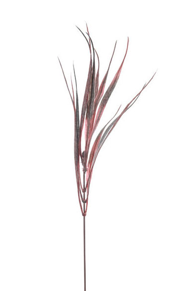 MATITA COLA DE OSO (28CM) COLOR:BURDEOS REF.:24804/BU PRECIO:2,10 € MATITA COLA DE OSO (28CM) COLOR:BURDEOS REF.:24804/BU PRECIO:2,10 €