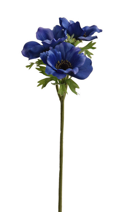 VARA ANEMONA x3 (45CM)/ AZUL REF: 40020320/BL PRECIO: 2,60€ VARA ANEMONA x3 (45CM)/ AZUL REF: 40020320/BL PRECIO: 2,60€