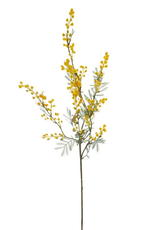VARA MIMOSA (70CM)/ AMARILLO REF: 12020090/YEL PRECIO: 3,95€ VARA MIMOSA (70CM)/ AMARILLO REF: 12020090/YEL PRECIO: 3,95€
