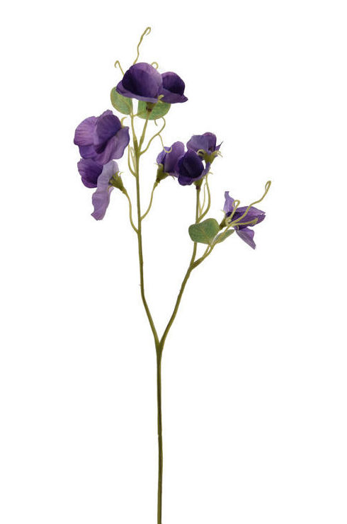 PICK FLOR DEL GUISANTE x2 (45CM)/ PURPURA REF: 40010194/PU PRECIO: 1,60€ PICK FLOR DEL GUISANTE x2 (45CM)/ PURPURA REF: 40010194/PU PRECIO: 1,60€