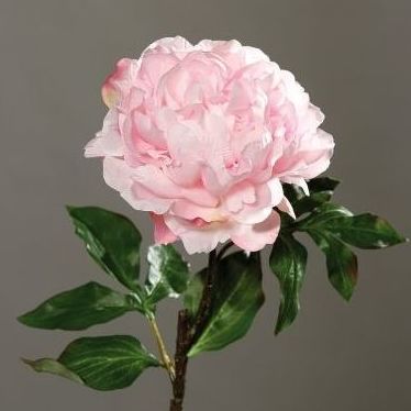VARA PEONIA GRANDE (ROSA) REF: 43454-31 PRECIO: 3,60€ VARA PEONIA GRANDE (ROSA) REF: 43454-31 PRECIO: 3,60€