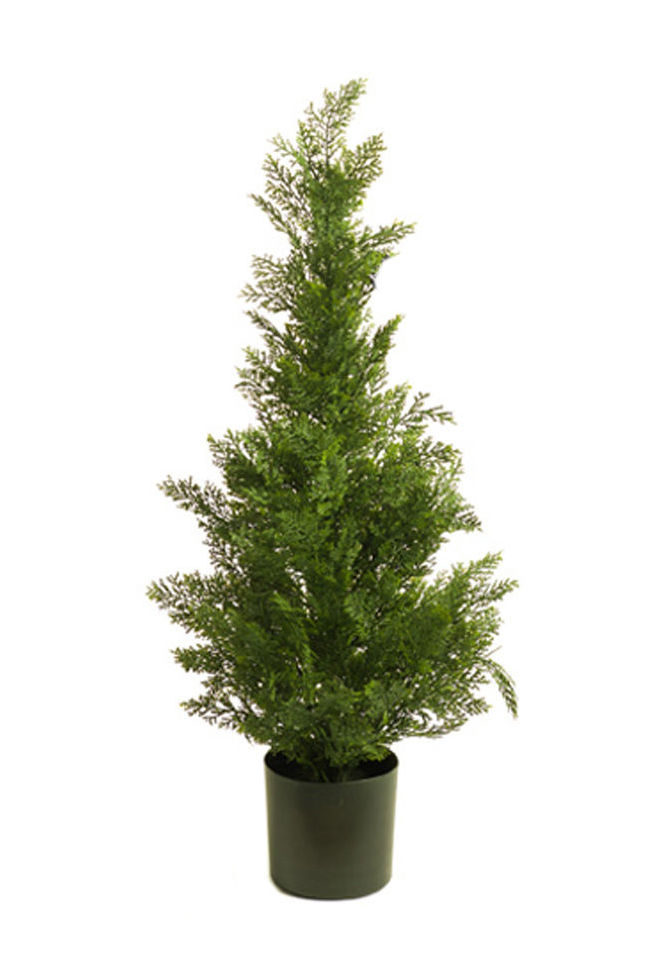 CIPRES CEDAR 77 CM. COLORES:VERDE CLARO/VERDE OSCURO REF:470378 PRECIO:22,90€ CIPRES CEDAR 77 CM. COLORES:VERDE CLARO/VERDE OSCURO REF:470378 PRECIO:22,90€