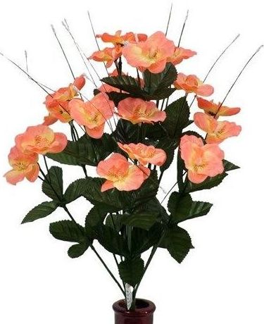 Pomo Cymbidium x 18 Color: Fuxia Ref.:8056 Pomo Cymbidium x 18 Color: Fuxia Ref.:8056