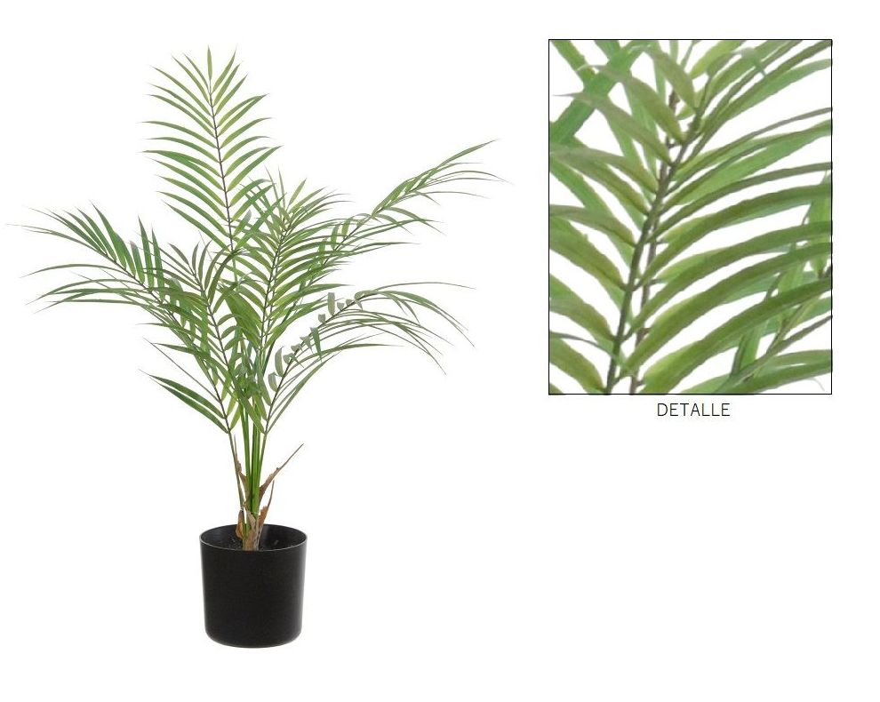 PALMERA ARECA C/MACETA (60CM)/ VERDE REF: 17050.060 PRECIO: 16,75€ PALMERA ARECA C/MACETA (60CM)/ VERDE REF: 17050.060 PRECIO: 16,75€
