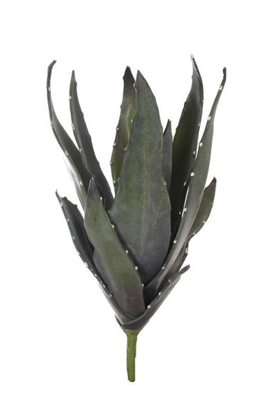 MATA ALOE GIGANTE (57CM) FOAM. COLOR: GREEN REF.:61415/GR PRECIO: 19,50 € MATA ALOE GIGANTE (57CM) FOAM. COLOR: GREEN REF.:61415/GR PRECIO: 19,50 €