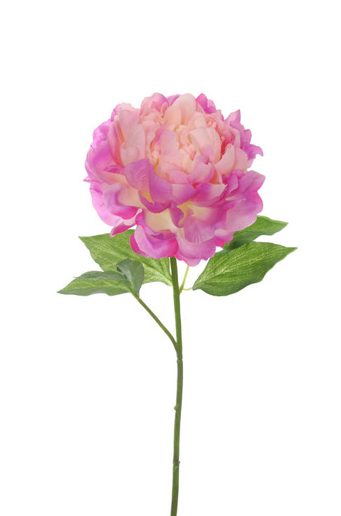 VARA PEONIA. COLOR:LAVANDA REF.:30920/LAV PRECIO:2,75 € VARA PEONIA. COLOR:LAVANDA REF.:30920/LAV PRECIO:2,75 €