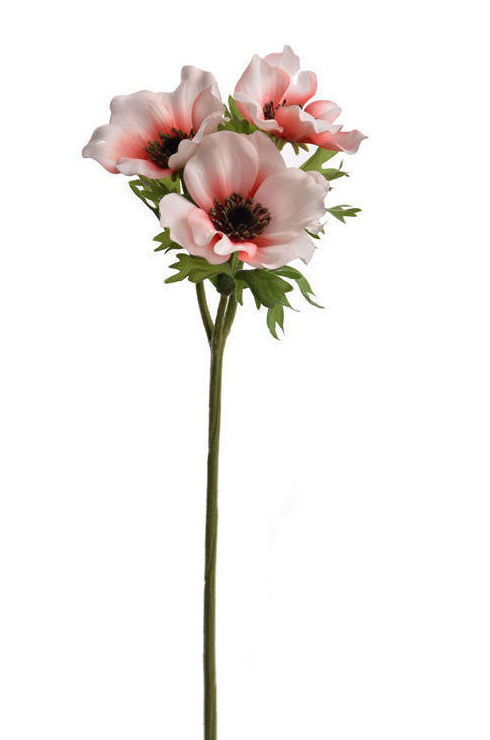 VARA ANEMONA x3 (45CM)/ MELOCOTON REF: 40020320/PE PRECIO: 2,60€ VARA ANEMONA x3 (45CM)/ MELOCOTON REF: 40020320/PE PRECIO: 2,60€