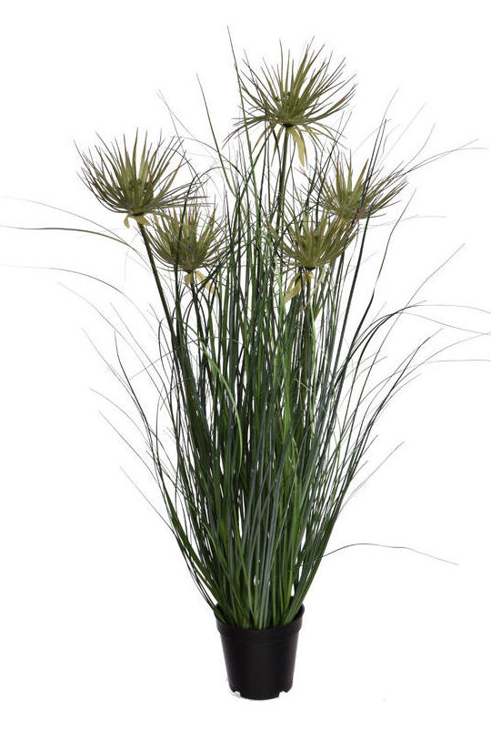 MACETA (PVC) DE PAPYRUS Y HIERBA (80CM)/ VERDE REF: 56110083/GR PRECIO: 30,00€ MACETA (PVC) DE PAPYRUS Y HIERBA (80CM)/ VERDE REF: 56110083/GR PRECIO: 30,00€