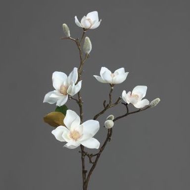 VARA MAGNOLIA X2 (64CM). COLOR:BLANCO REF.:42951-05 PRECIO:5,10 € VARA MAGNOLIA X2 (64CM). COLOR:BLANCO REF.:42951-05 PRECIO:5,10 €