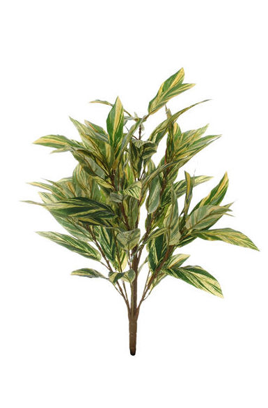 PLANTA AGLAONEMA (80CM) X10 (AMARILLO/BLANCO) REF.:61266/YELGR PRECIO: 11,75 € PLANTA AGLAONEMA (80CM) X10 (AMARILLO/BLANCO) REF.:61266/YELGR PRECIO: 11,75 €