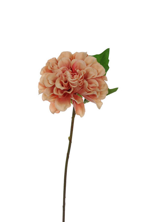 VARA DAHLIA. COLOR:SALMON REF.:30020006/SA PRECIO:1,65 € VARA DAHLIA. COLOR:SALMON REF.:30020006/SA PRECIO:1,65 €