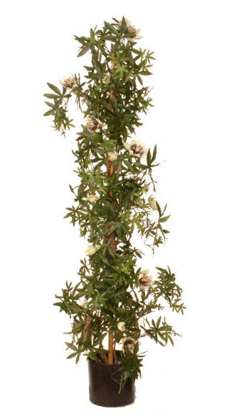 ARBOL PASSIFLORA (1,20 M.) COLOR:VERDE FLOR:CREMA REF.:70465 PRECIO:60,50 € ARBOL PASSIFLORA (1,20 M.) COLOR:VERDE FLOR:CREMA REF.:70465 PRECIO:60,50 €
