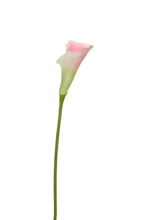 VARA CALA (73CM)/ ROSA REF: 30010009/PI PRECIO: 1,65€ VARA CALA (73CM)/ ROSA REF: 30010009/PI PRECIO: 1,65€