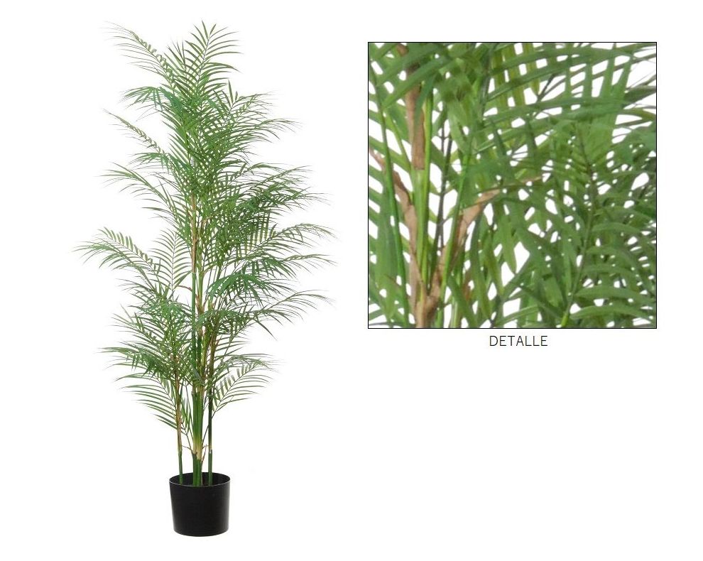 PALMERA ARECA C/MACETA (145CM)/ VERDE REF: 17050.145 PRECIO: 101,75€ PALMERA ARECA C/MACETA (145CM)/ VERDE REF: 17050.145 PRECIO: 101,75€