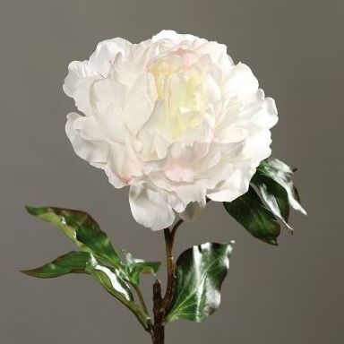 VARA PEONIA GRANDE. COLOR:BLANCO REF.:43454-15 PRECIO: 3,60 € VARA PEONIA GRANDE. COLOR:BLANCO REF.:43454-15 PRECIO: 3,60 €