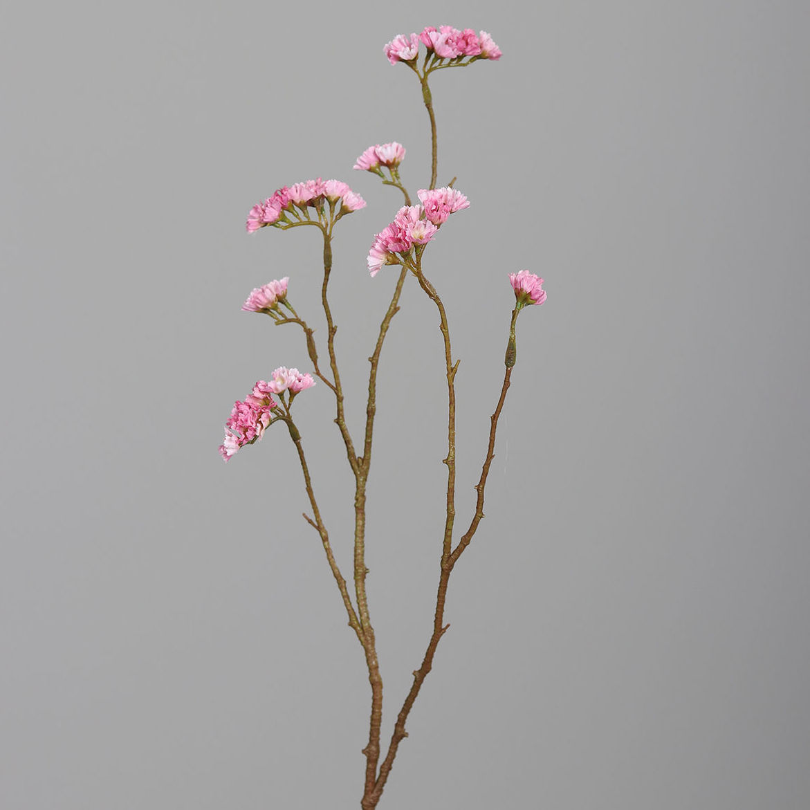 VARA STATICE (67CM)/ ROSA CLARO REF: 55078-28 PRECIO: 2,95€ VARA STATICE (67CM)/ ROSA CLARO REF: 55078-28 PRECIO: 2,95€