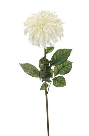 Zinnias: CATÁLOGO de Fernando Gallego, S.C.P. Zinnias: CATÁLOGO de Fernando Gallego, S.C.P.