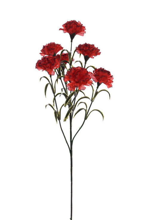 VARA CLAVEL (61CM). COLOR:ROJO REF.:40050002/RE PRECIO:1,30 € VARA CLAVEL (61CM). COLOR:ROJO REF.:40050002/RE PRECIO:1,30 €