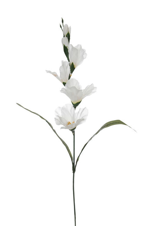PQTE.12 UNID.VARA GLADIOLO (57CM). COLOR:BLANCO REF.:11230/WH PRECIO:0,60 € C/U PQTE.12 UNID.VARA GLADIOLO (57CM). COLOR:BLANCO REF.:11230/WH PRECIO:0,60 € C/U