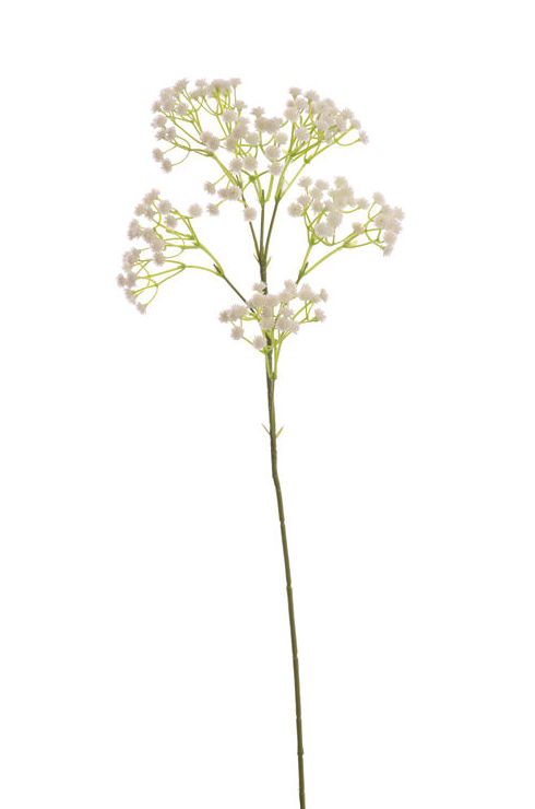 VARA GIPSOFILA (60CM) COLOR:BLANCO REF.:12080001/WH PRECIO:1,30 € VARA GIPSOFILA (60CM) COLOR:BLANCO REF.:12080001/WH PRECIO:1,30 €
