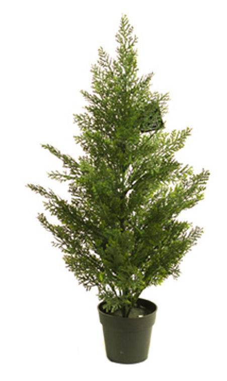CIPRES CEDAR 60 CM. COLORES:VERDE CLARO/VERDE OSCURO REF:470360 PRECIO:14,90 € CIPRES CEDAR 60 CM. COLORES:VERDE CLARO/VERDE OSCURO REF:470360 PRECIO:14,90 €