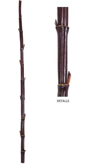 CAÑA BAMBU ARTIFICIAL 140CM/ BURDEOS REF: 109134-180.18 PRECIO: 9,85€ CAÑA BAMBU ARTIFICIAL 140CM/ BURDEOS REF: 109134-180.18 PRECIO: 9,85€
