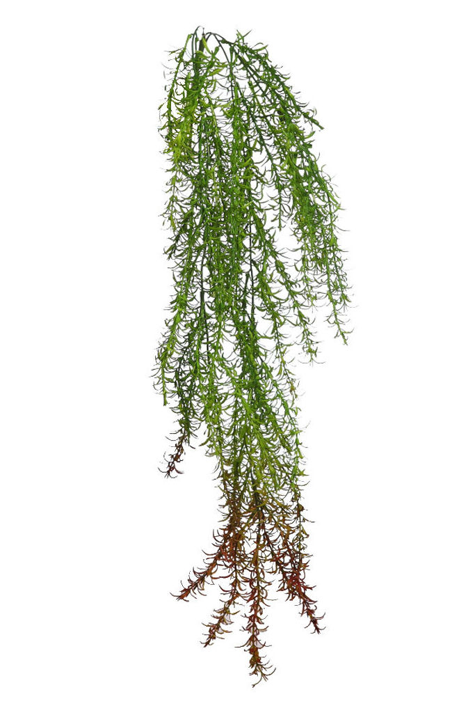 COLGANTE ESPARRAGUERA ARTIFICIAL(77CM) COLOR:MARRON REF.:Y0394.13 PRECIO:4,20 € COLGANTE ESPARRAGUERA ARTIFICIAL(77CM) COLOR:MARRON REF.:Y0394.13 PRECIO:4,20 €