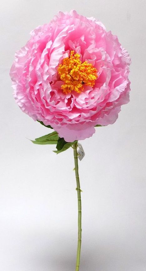 VARA PEONIA GIGANTE 80 CM. COLOR:ROSA REF.:30058 ROSA PRECIO:2,50 € VARA PEONIA GIGANTE 80 CM. COLOR:ROSA REF.:30058 ROSA PRECIO:2,50 €