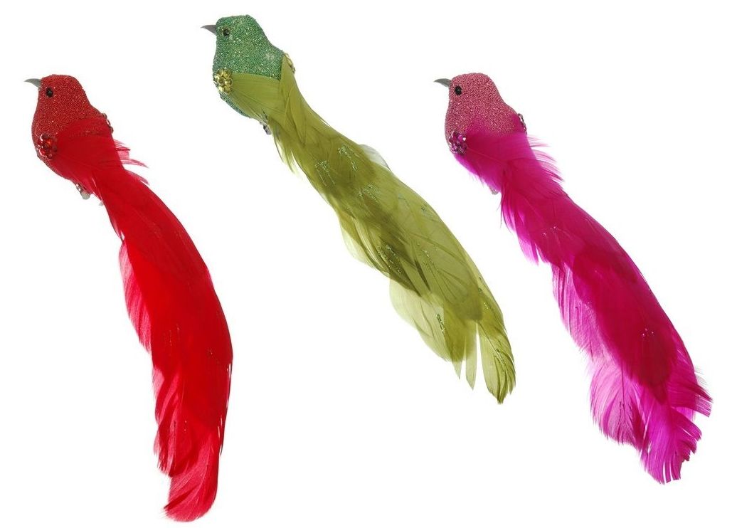 PQTEx12 PAJAROS DE COLA LARGA C/CLIP (27CM)/SURTIDO ROJO-VERDE-ROSA REF: 97823/SURT PRECIO: 13,80€ (1.15€/UD) PQTEx12 PAJAROS DE COLA LARGA C/CLIP (27CM)/SURTIDO ROJO-VERDE-ROSA REF: 97823/SURT PRECIO: 13,80€ (1.15€/UD)