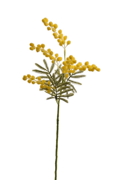 VARA DE MIMOSA (57CM)/ AMARILLA REF: 12050046/YEL PRECIO: 1,75€ VARA DE MIMOSA (57CM)/ AMARILLA REF: 12050046/YEL PRECIO: 1,75€