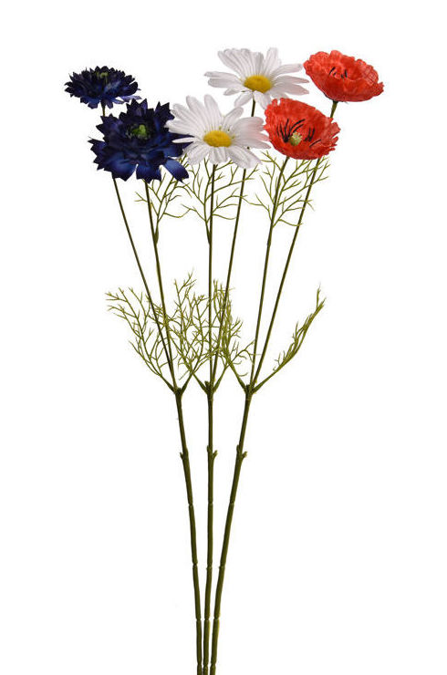 ATADO x6 VARAS FLOR (59CM)/ SURT.(AMAP- MARG-SCAB) REF: 40050067/MIX PRECIO: 6,30€ ATADO x6 VARAS FLOR (59CM)/ SURT.(AMAP- MARG-SCAB) REF: 40050067/MIX PRECIO: 6,30€